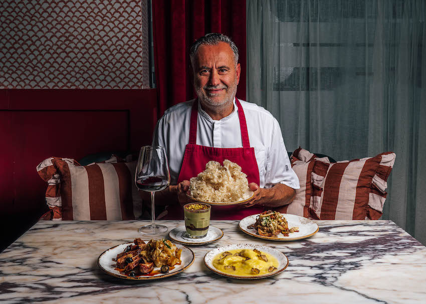 The Mushroom Man Is Back – The Mushroom Man Is Back -