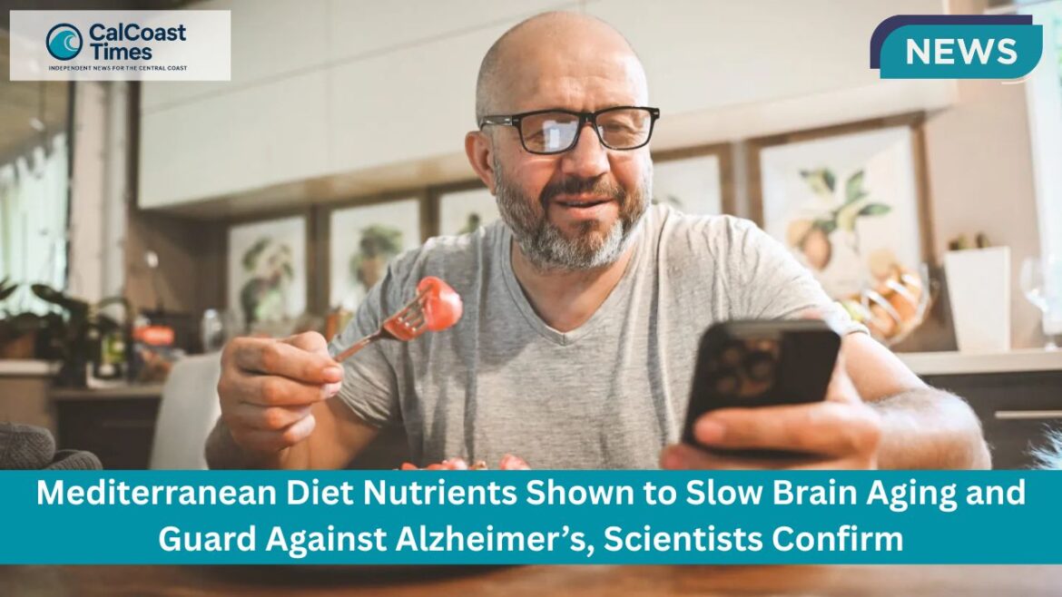 Mediterranean Diet Nutrients Shown to Slow Brain Aging and Guard Against Alzheimer’s, Scientists Confirm