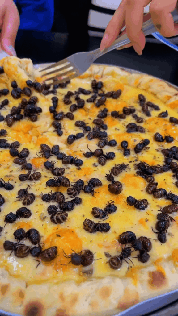 Ant Pizza from Brazil