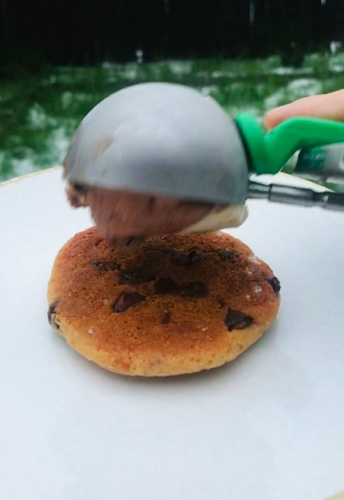 homemade cookies are my favorite vessel for homemade ice cream.