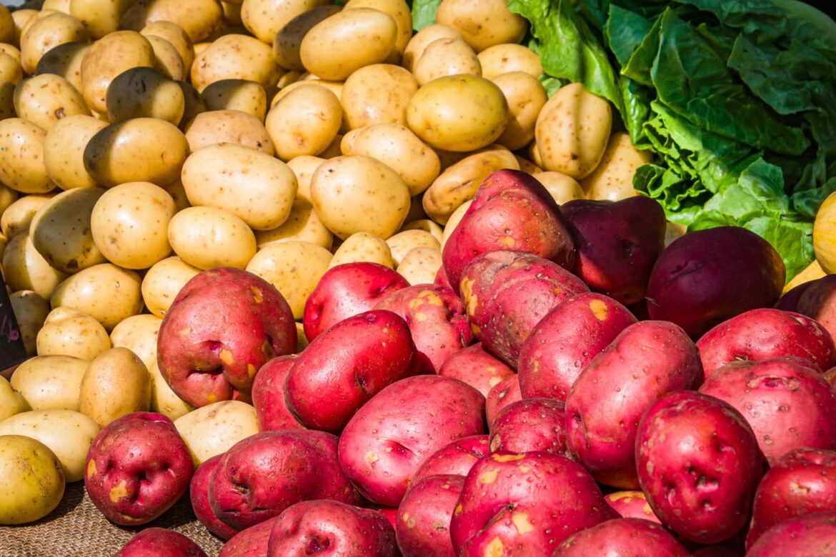 Eating French Fries May Raise Diabetes Risk, Harvard Study Finds