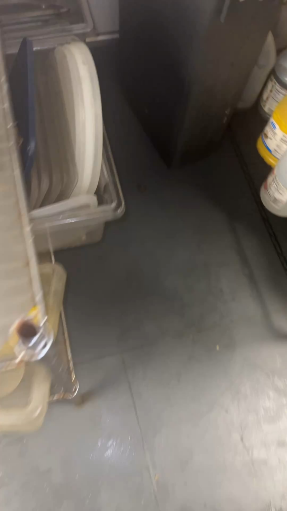 I kicked the health inspector out