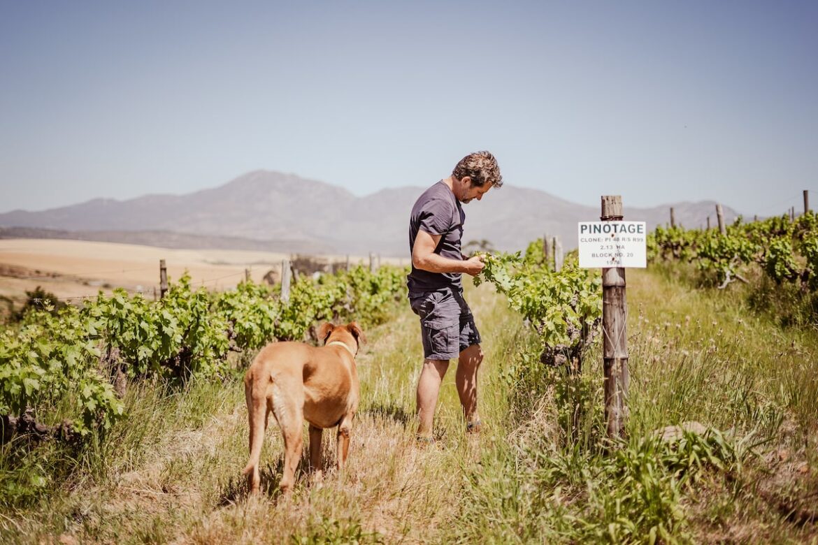 This family-owned South African winery takes pride in serving patrons at their vineyard