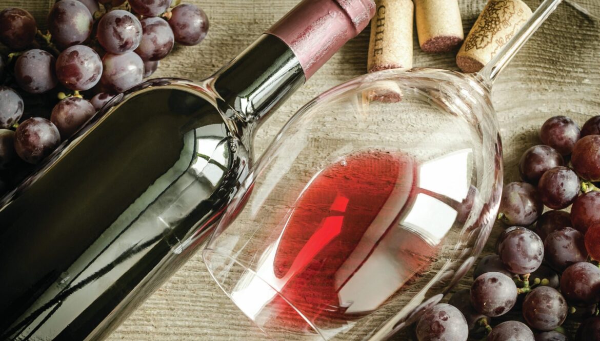 Six delicious Pinot Noirs from Chile Six delicious Pinot Noirs from Chile