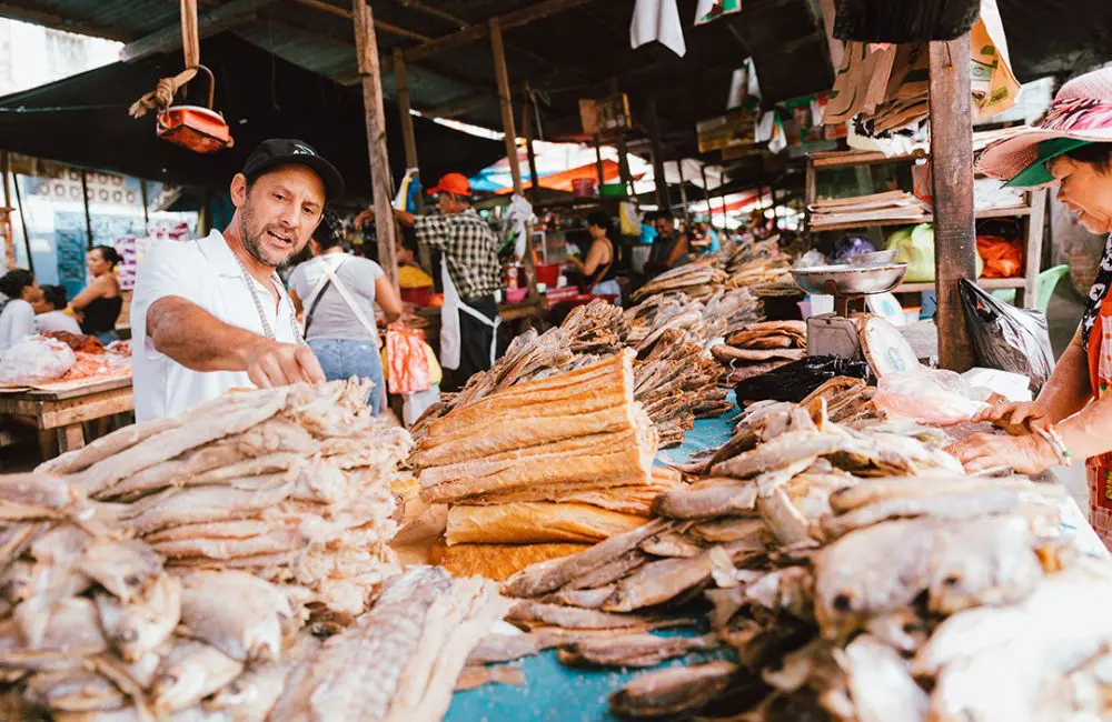 Pedro Miguel Schiaffino