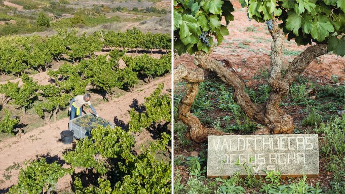 How Rioja’s New Regulations Have Led to Better Wine How Rioja's New Regulations Have Led to Better Wine