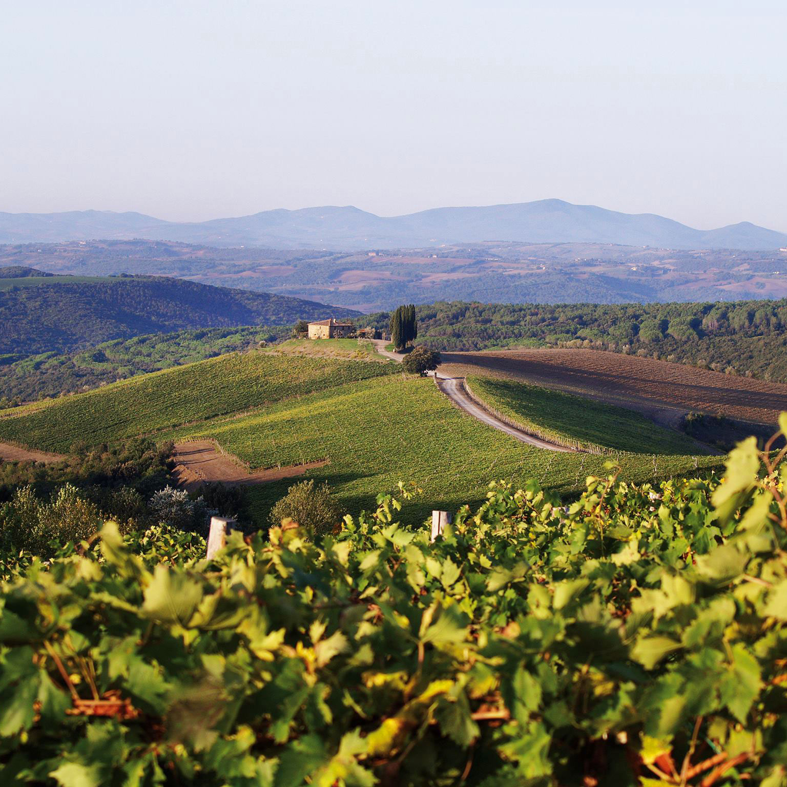 Rosewood Castiglion del Bosco