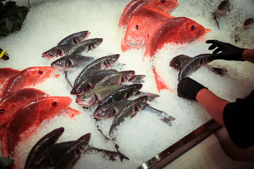 What kind of fish do you like? Servers will explain a dozen or more options at Avra in Dallas.
