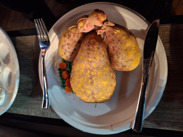 Cornish hens, made of nylons, pillow stuffing and paint. (SALLY CRAGIN)