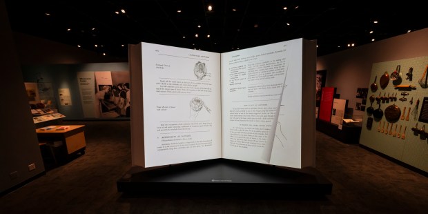 The pages of a giant book turn.