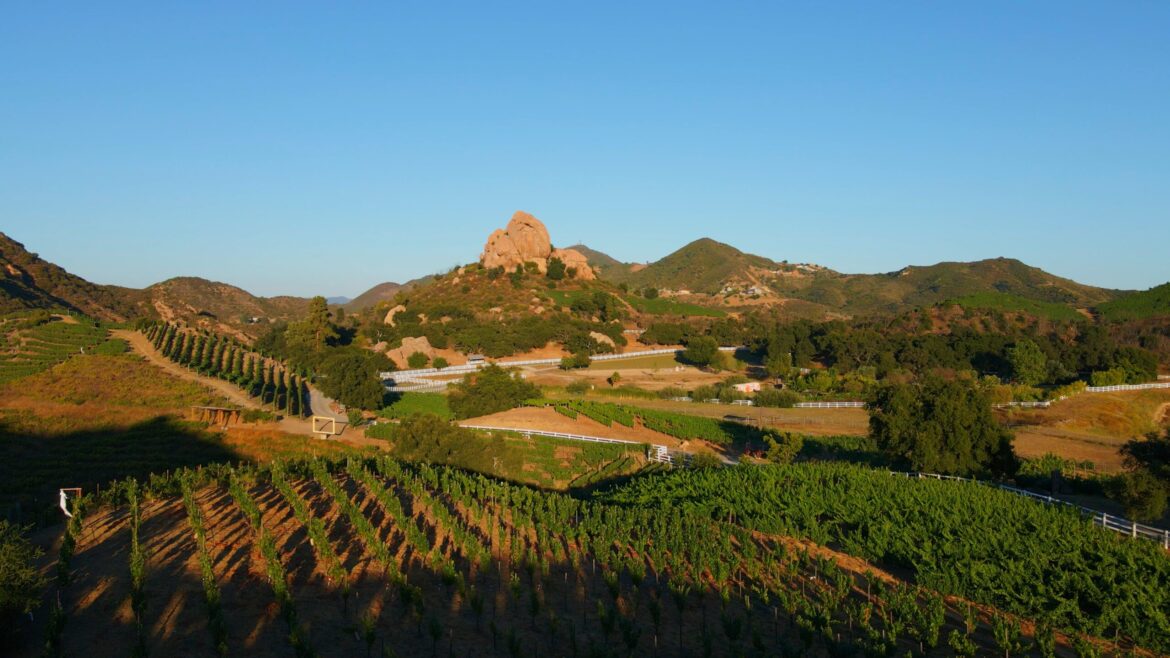 Malibu Food & Wine Festival Debuts at Saddlerock Ranch