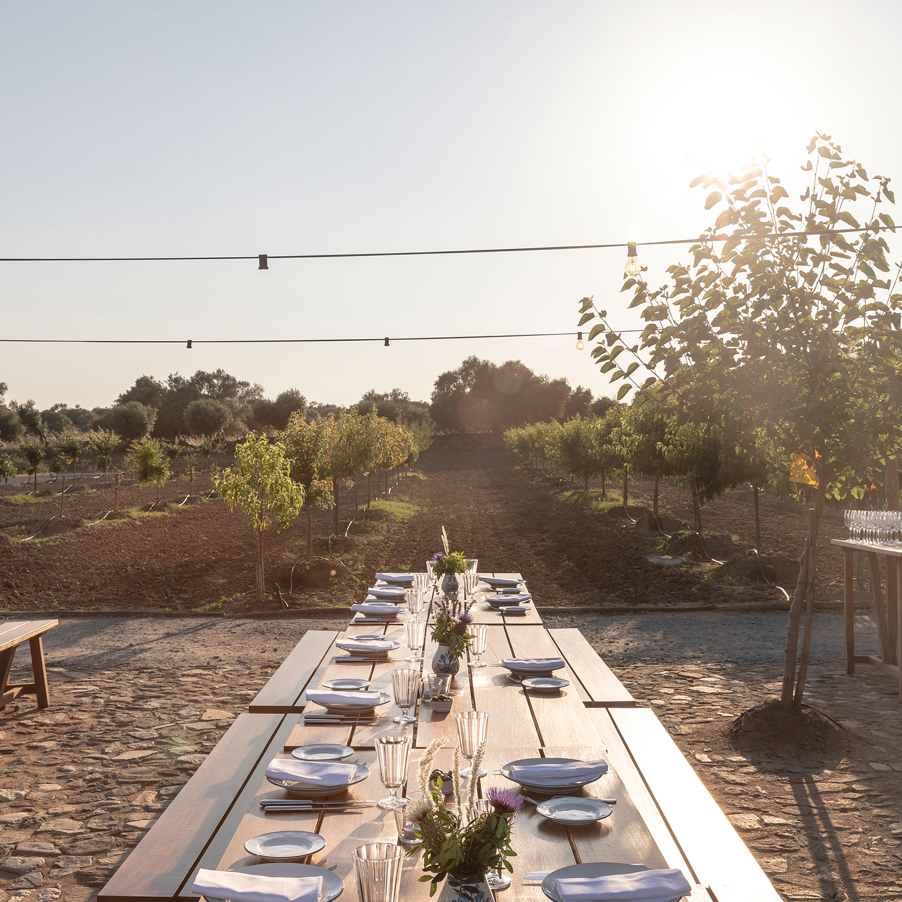 São Lourenço do Barrocal