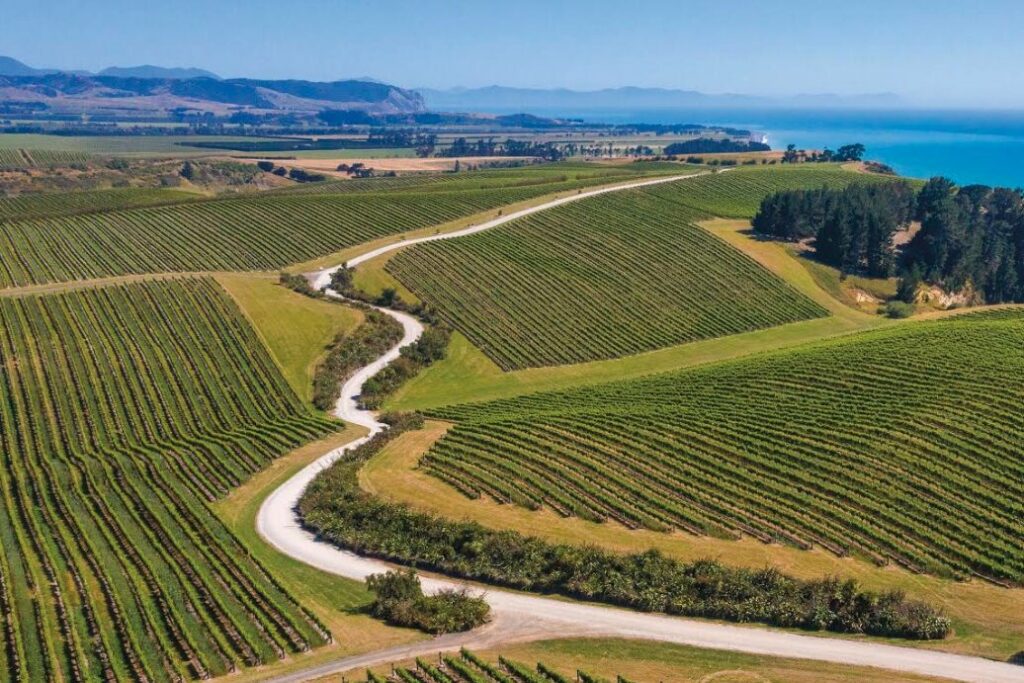 Sauvignon Blanc conference returns to Marlborough