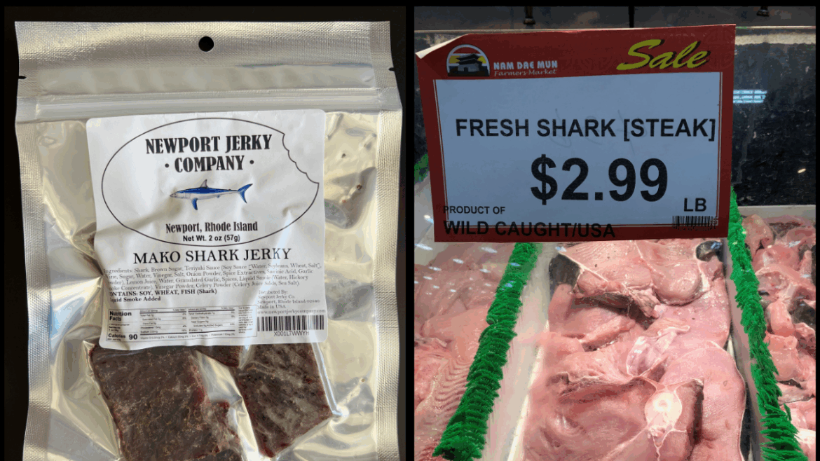 Critically endangered sharks being sold as food in U.S. grocery stores Critically endangered sharks being sold as food in U.S. grocery stores