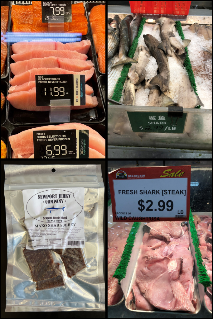 A collage of four photographs showing shark meat for sale in U.S. grocery stores.