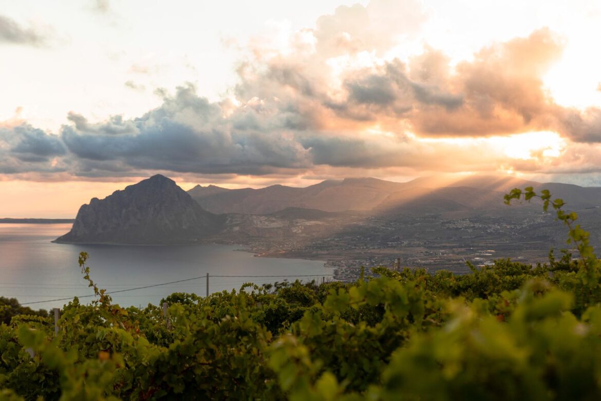 The 9 Best Wineries to Visit in Sicily and Sardinia The 9 Best Wineries to Visit in Sicily and Sardinia