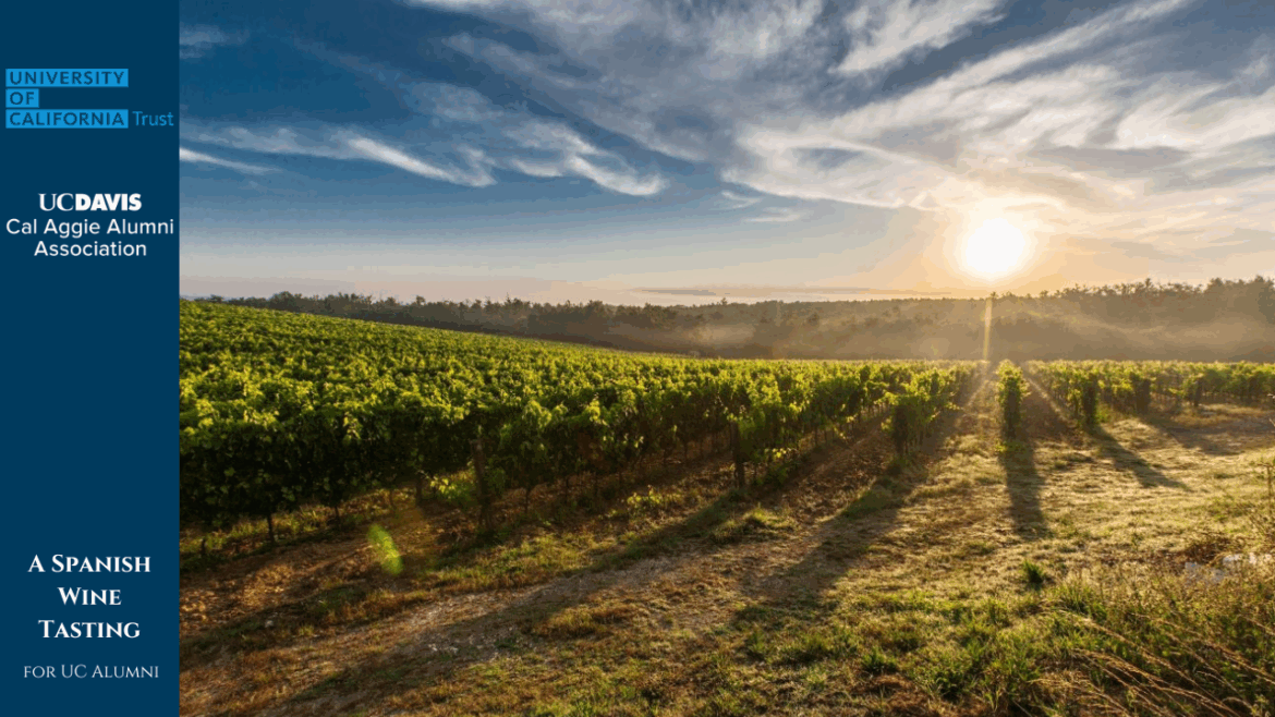 a vineyard with a sunset and a side bar on the left with event info and logos