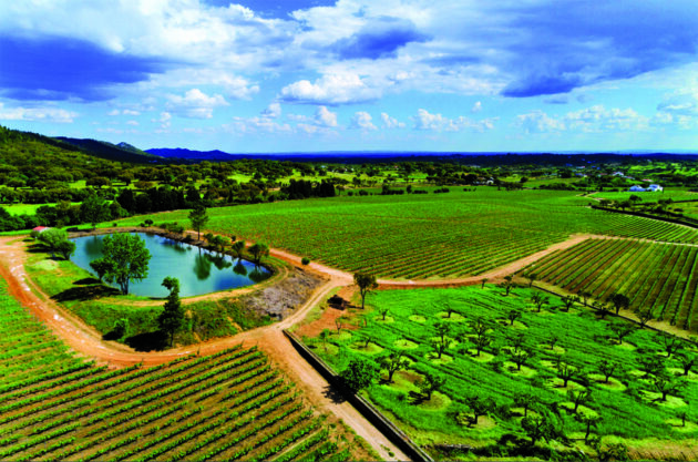 Expert’s Choice: 18 diverse and delicious Portuguese rosés Expert's Choice: 18 diverse and delicious Portuguese rosés