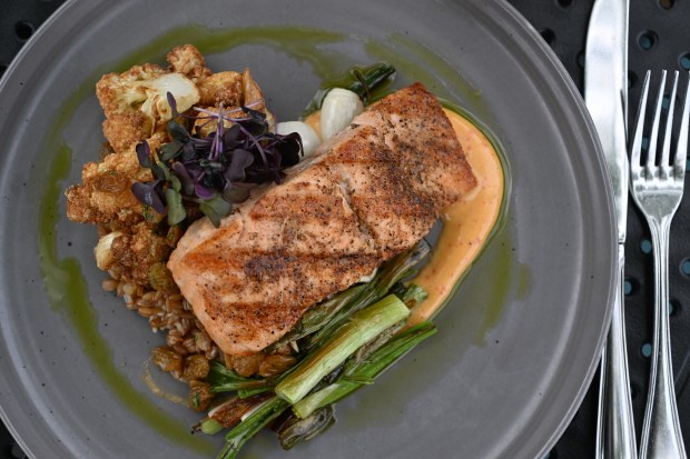 Grilled Salmon. with calabrian donair, rye berries, fried cauliflower, charred spring onions, golden raisin gremolata is one of the popular dishes at American Elm restaurant located at 4132 W. 38th Ave in Denver on May 28, 2025. American Elm is a neighborhood eatery and bar that offers elevated fare in a relaxed setting. (Photo by Helen H. Richardson/The Denver Post)