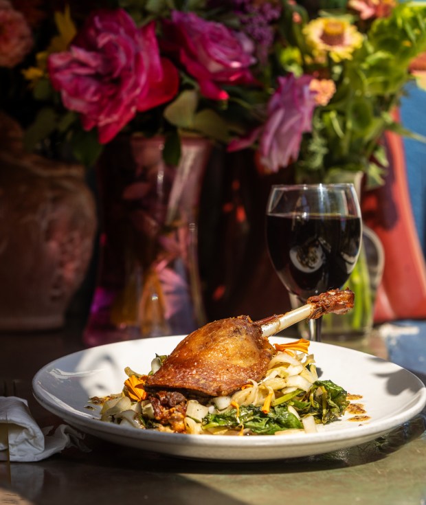 Duck Confit with endive and spinach and a glass of wine in a sunny window seat at Water Street Bistro Thursday, Aug. 29, 2025 in Petaluma. (John Burgess / Press Democrat)
