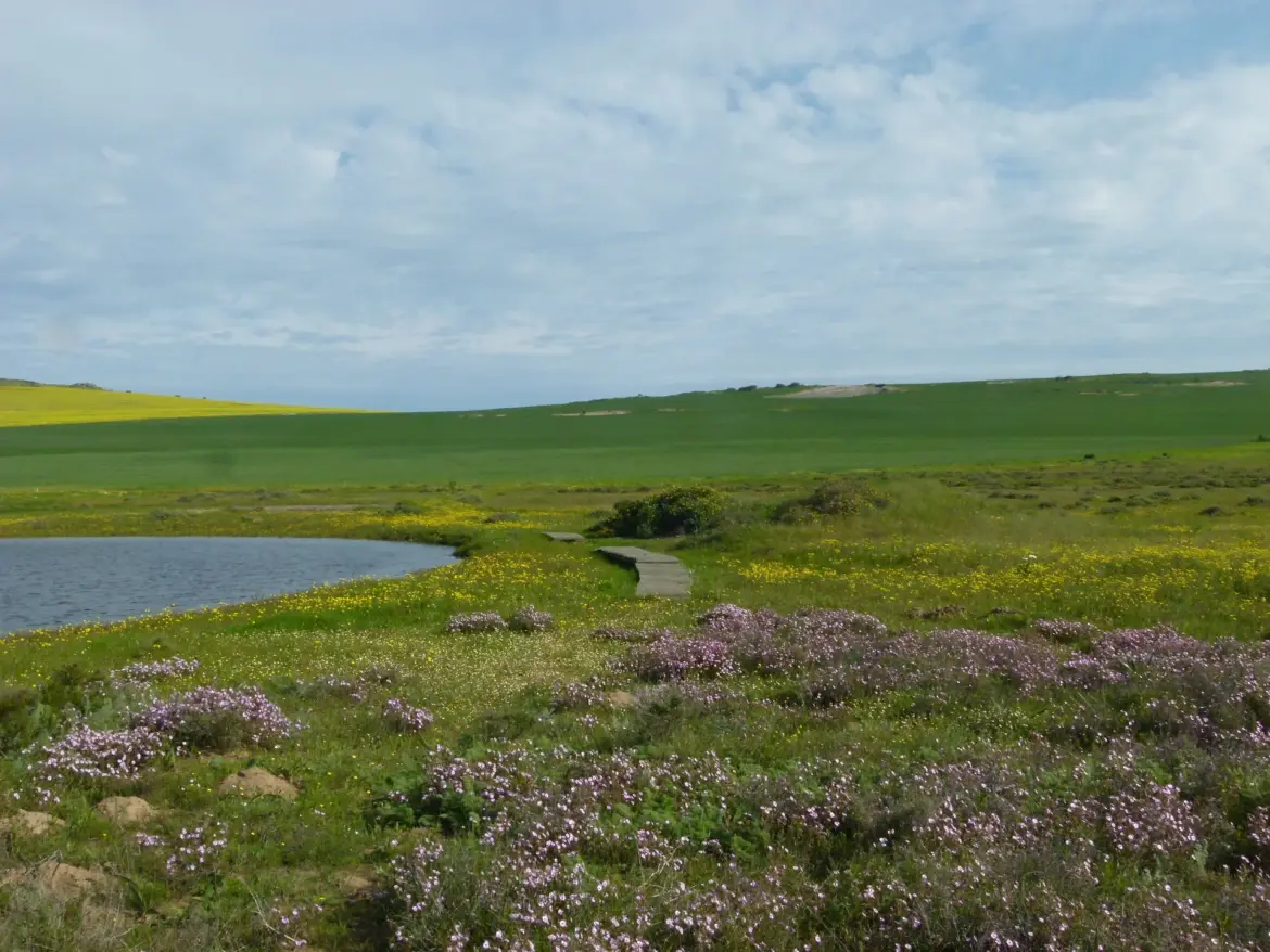 Heritage vineyards off the beaten path Heritage vineyards off the beaten path