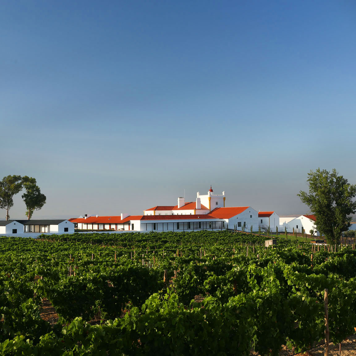 Torre de Palma Wine Hotel