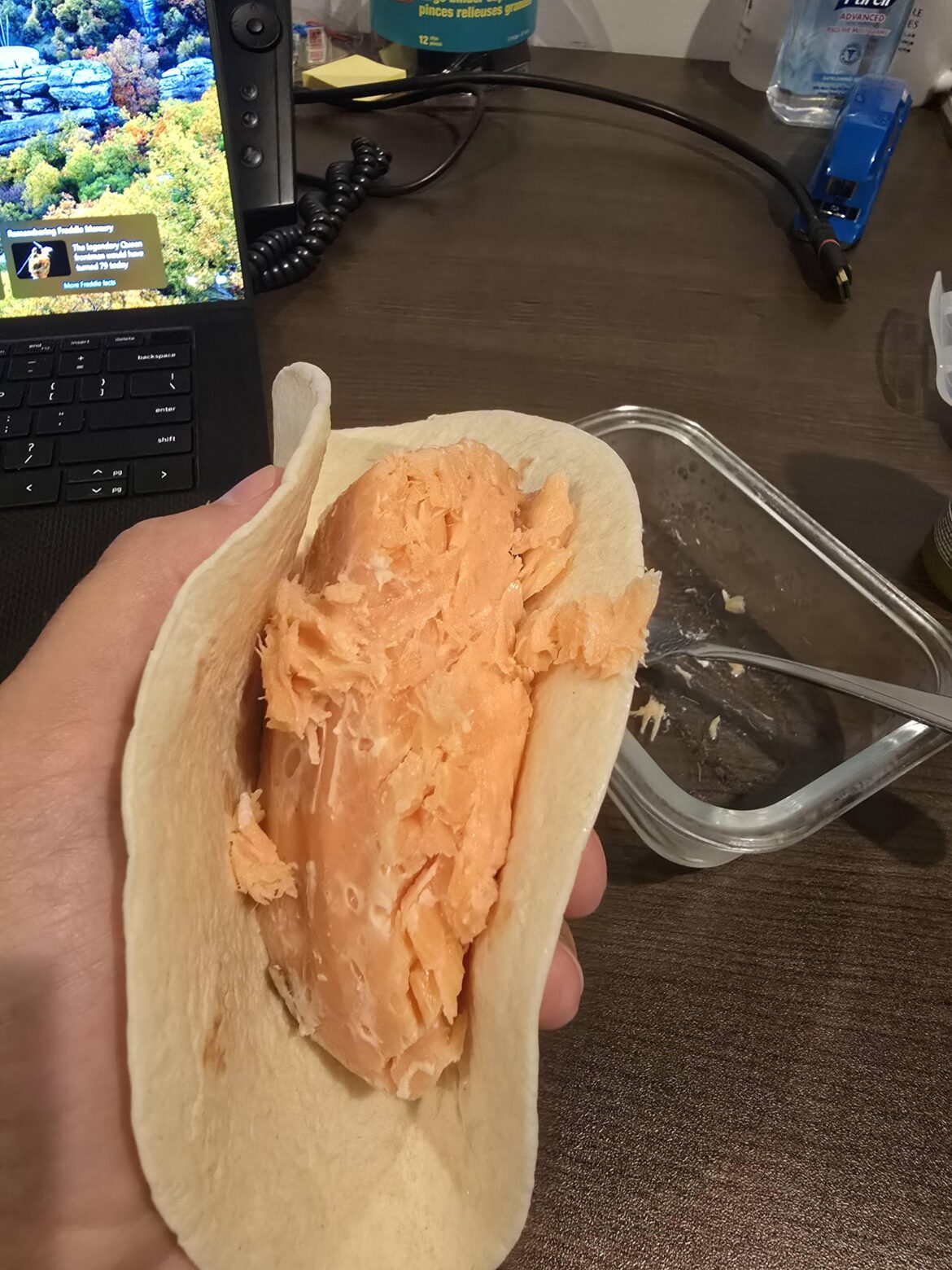 Delicious Salmon Taco for Lunch