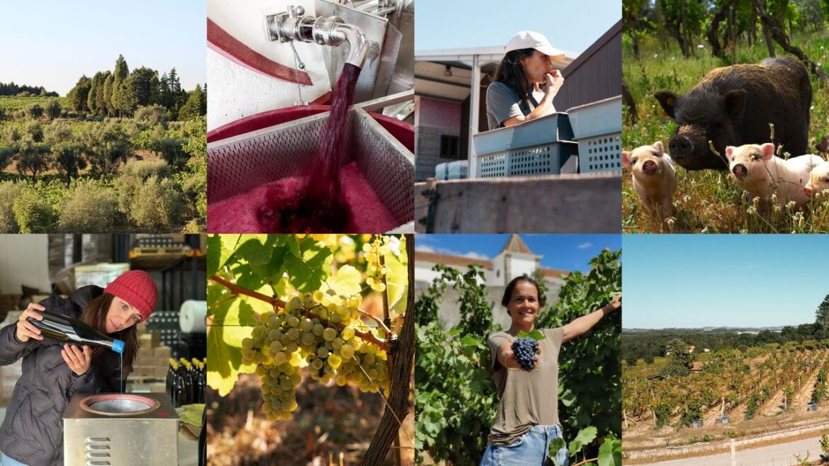 Condé Nast Traveler