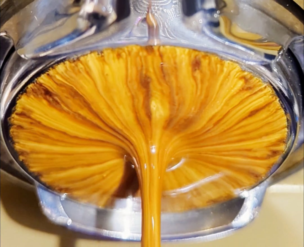 Hot. Humid. Wet. A sultry shot.