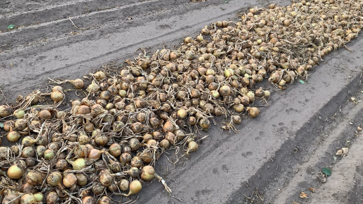 I think i’m in heaven…