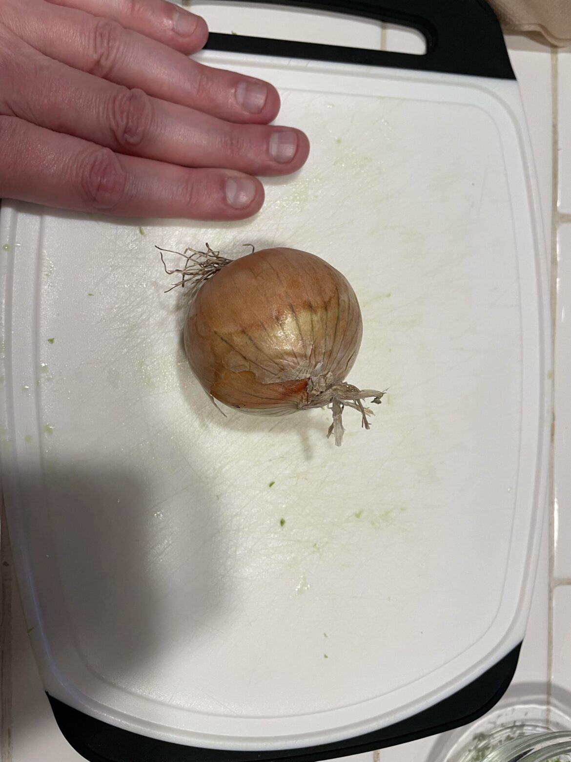 Our last two meals have contained golf balls instead of onions.