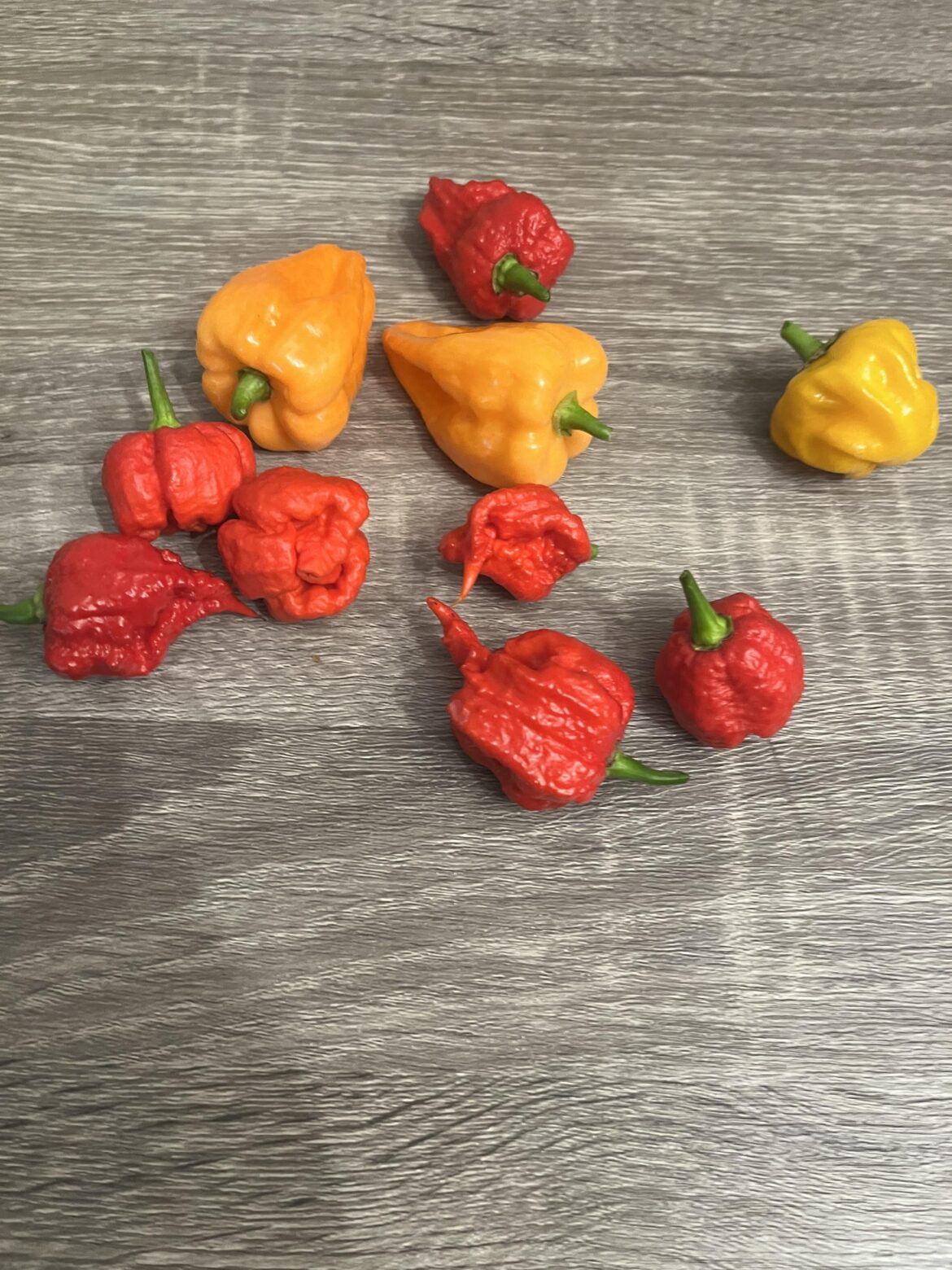 Scorpions vs scotch bonnets vs reapers vs habaneros. A review.