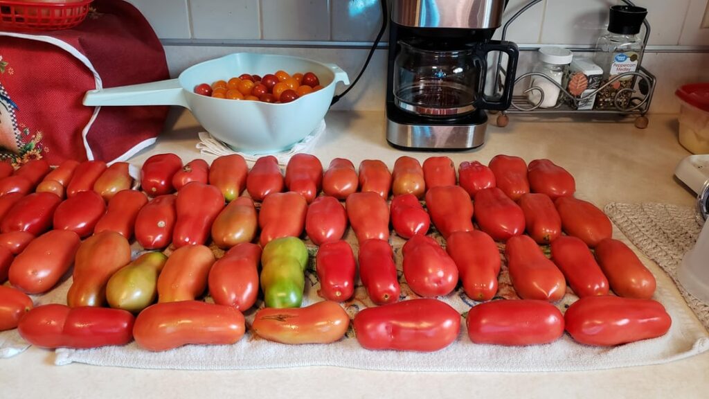 Late September Harvest
