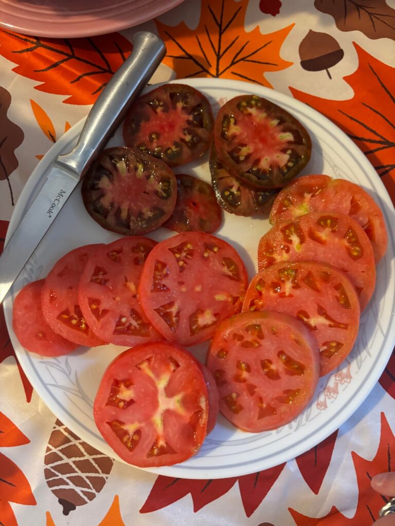 German Johnson, Cherokee Purple, and Yellow pear cherry are the winners this season