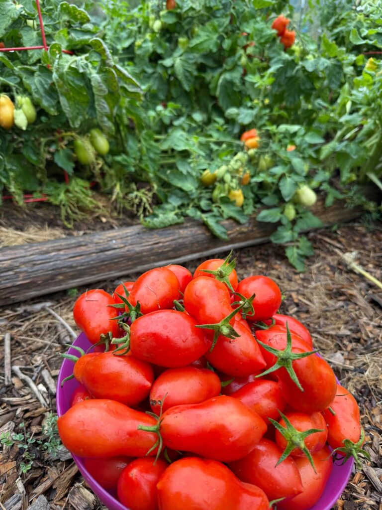 Off to a great harvest