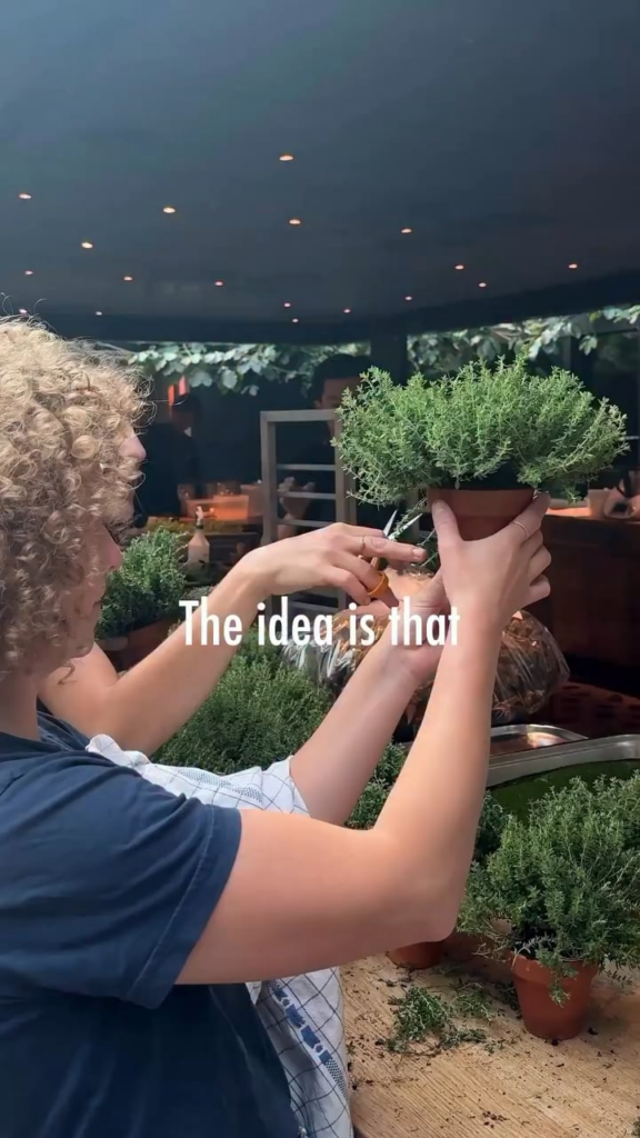 Soup in a plant pot.