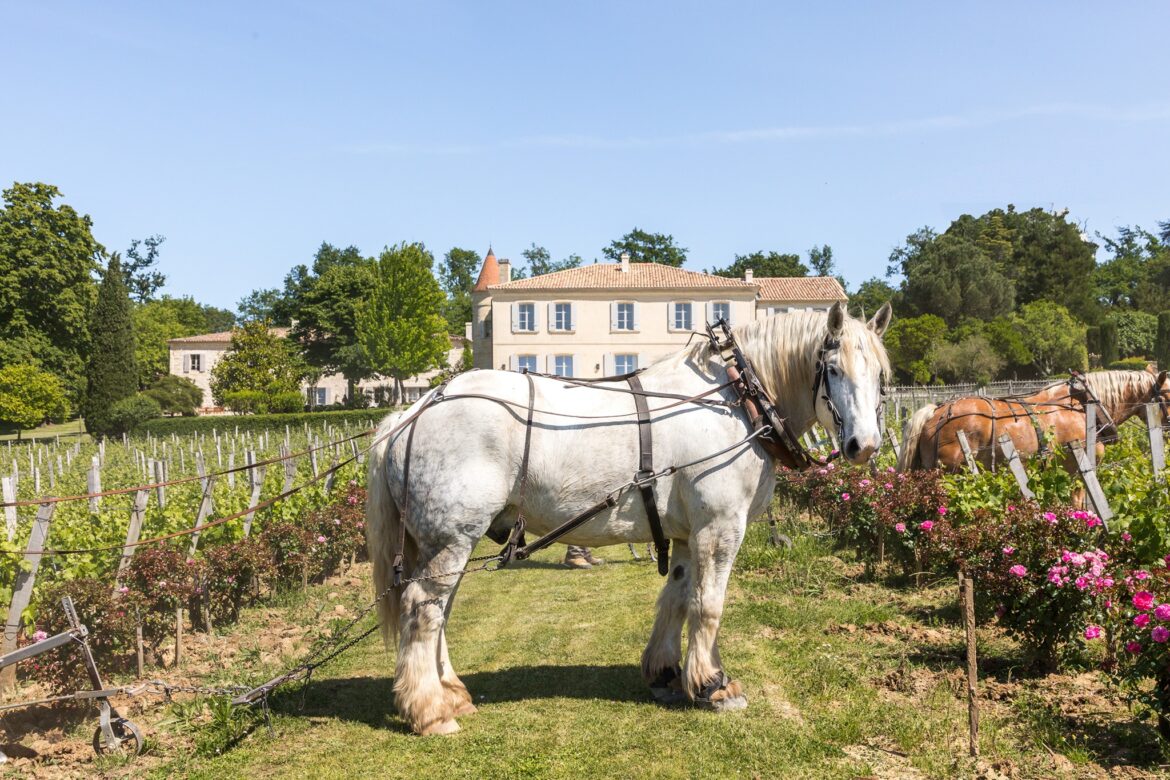 Our Top Hotels in Europe's Most Beautiful Vineyards