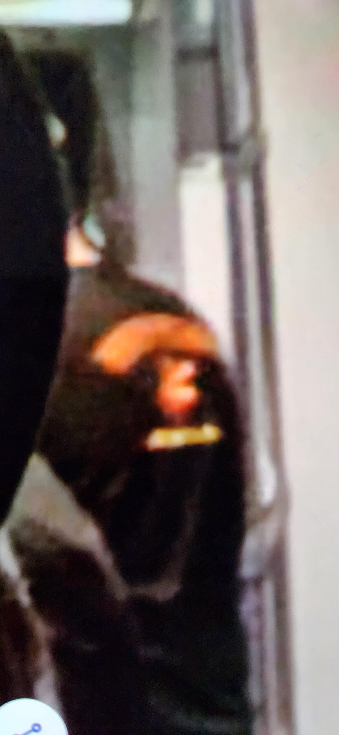 Longest Shot Question. Does anyone recognize this restaurant logo?