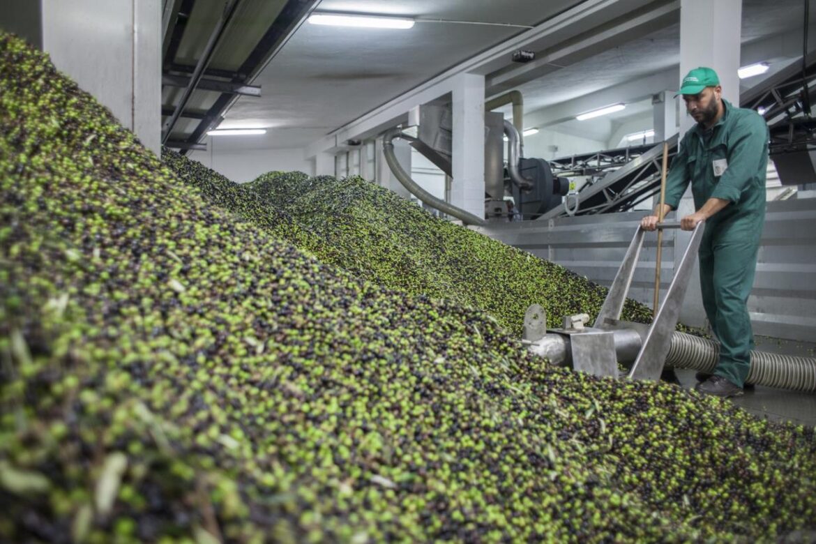 Italy and FAO advance awareness on the benefits of Mediterranean diet Italy and FAO advance awareness on the benefits of Mediterranean diet