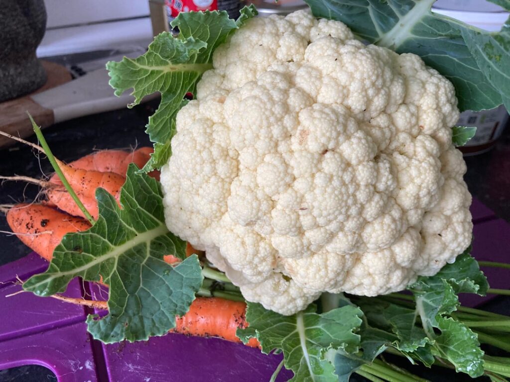 Started small, and late!