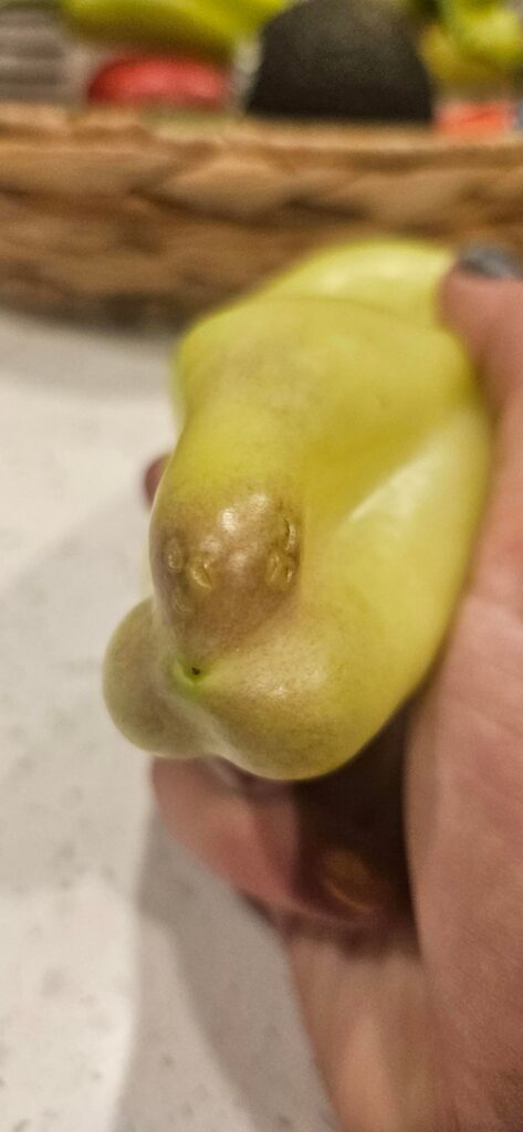 What kind of bite? Or coincidence?