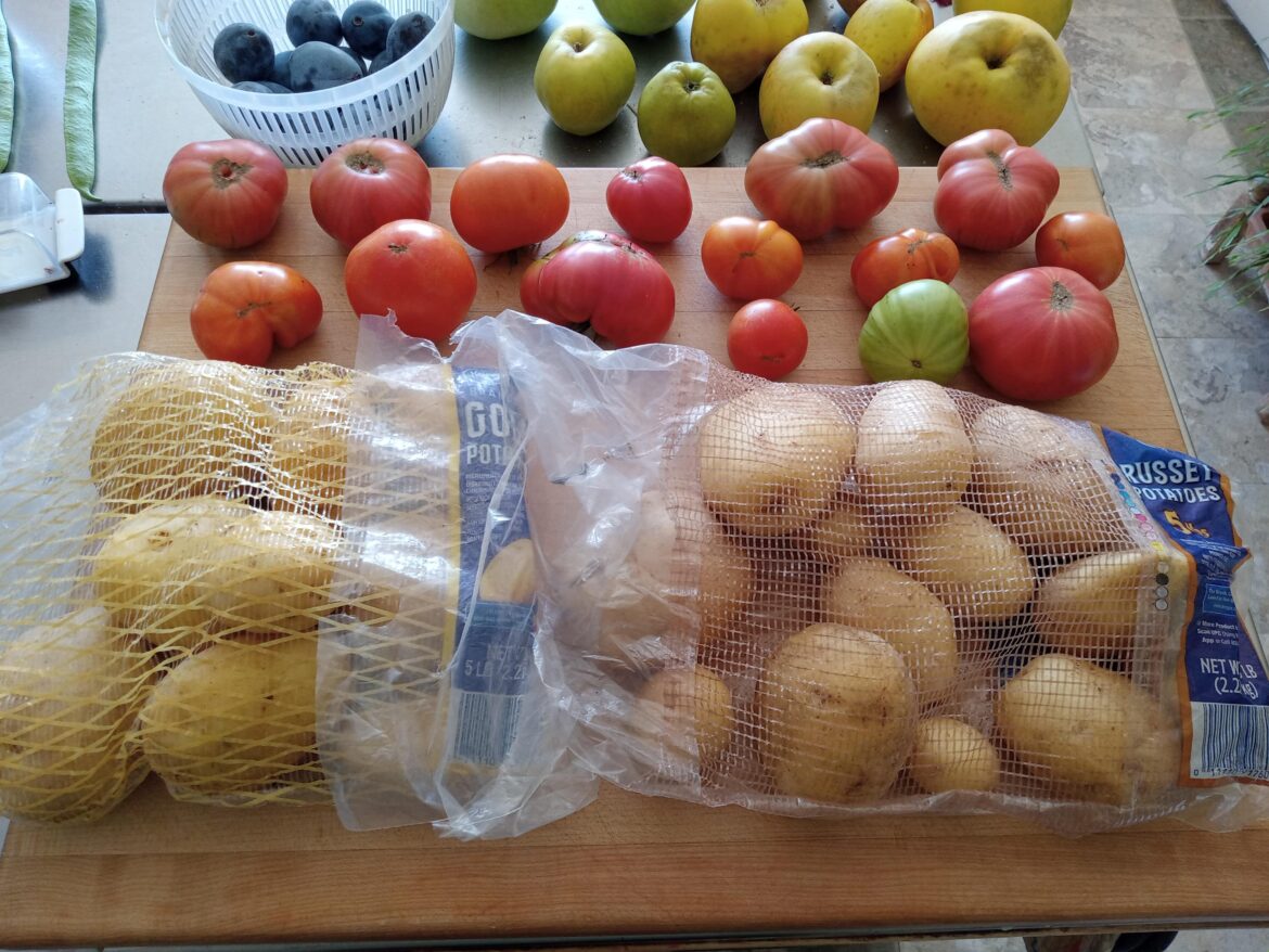 Repost for proof because the picture did not upload yesterday. 
Nine pounds from one small seed potato in a 20x14 inch pot using the hilling method.