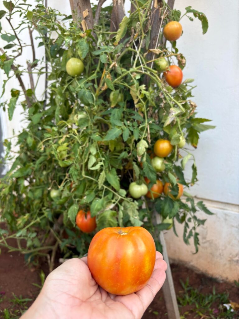 They keep going out!!