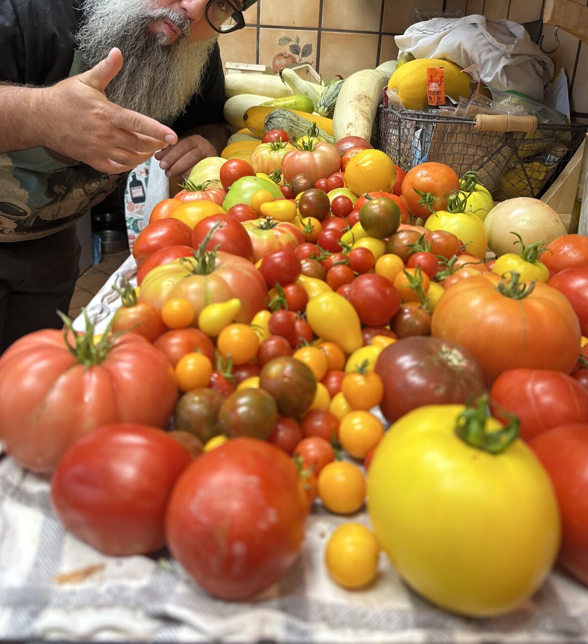 Onion harvest looking good