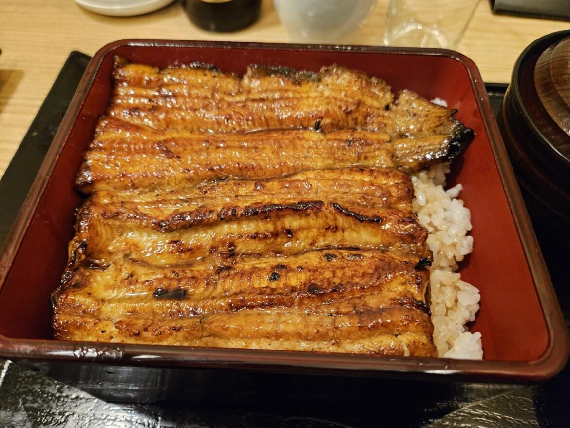 Unagi Don Was My Comfort Food Yesterday Unagi Don Was My Comfort Food Yesterday