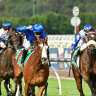 It’s the race that stops a nation, and if you’re planning on stopping your work day to watch it, we’ve got you covered.