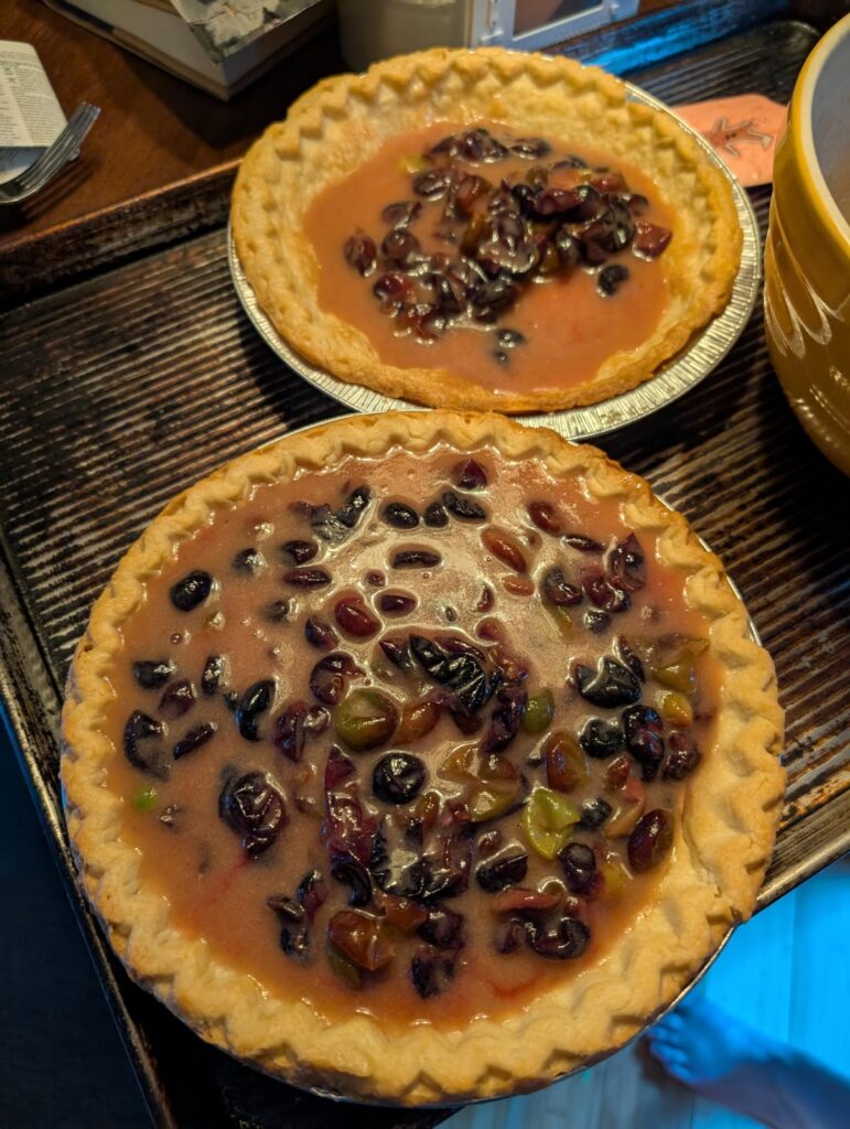 Made It: Grape Pie