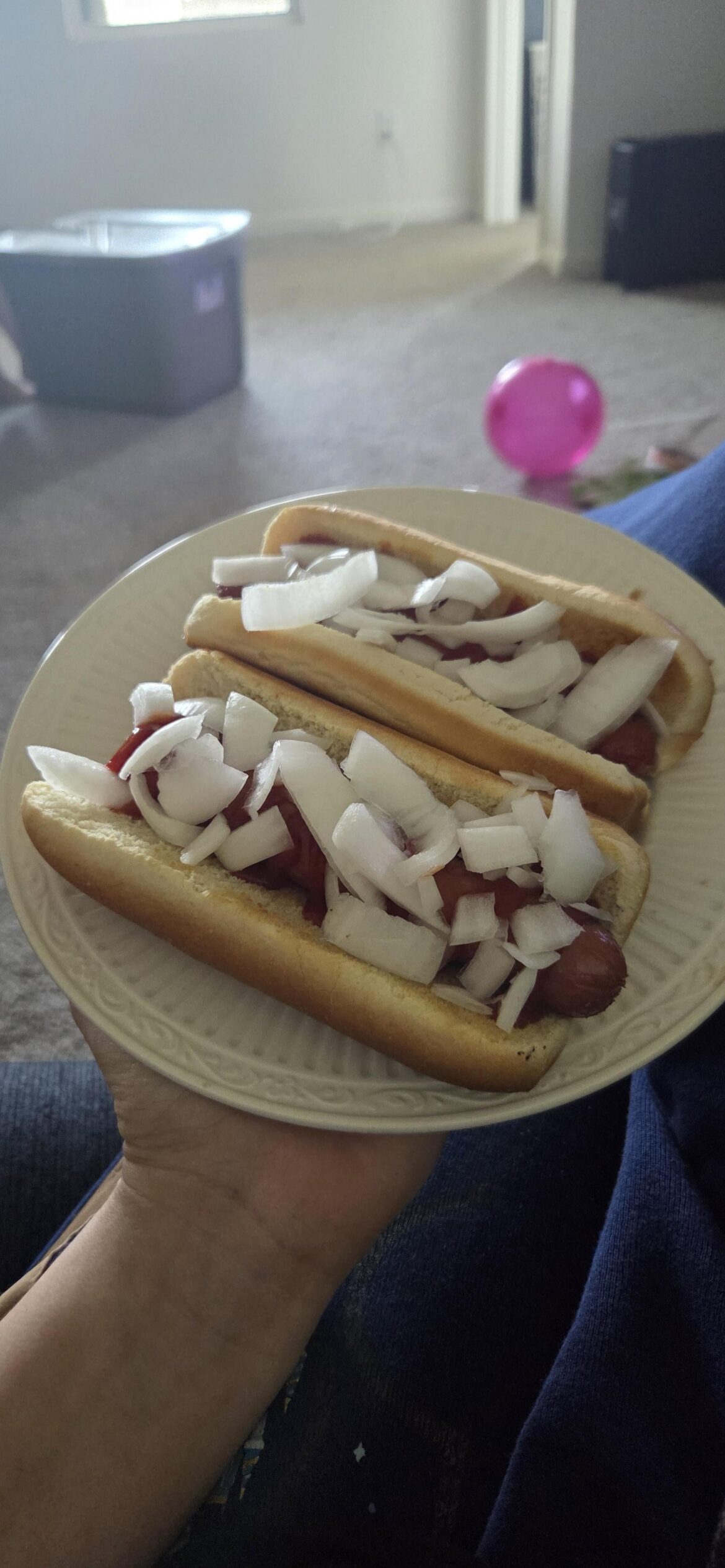 Hot dogs my husband just made for lunch