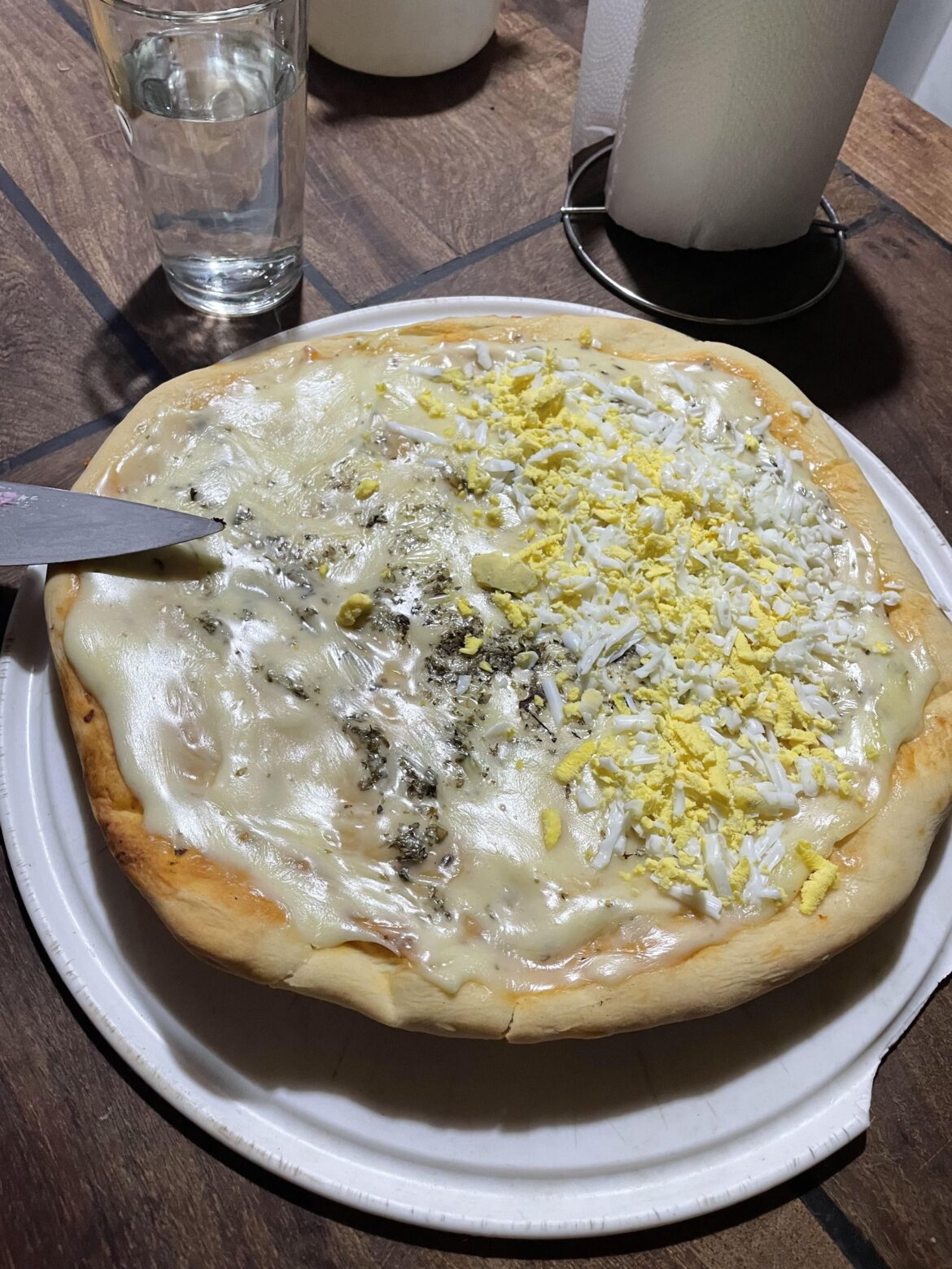 My roomates “Pizza”