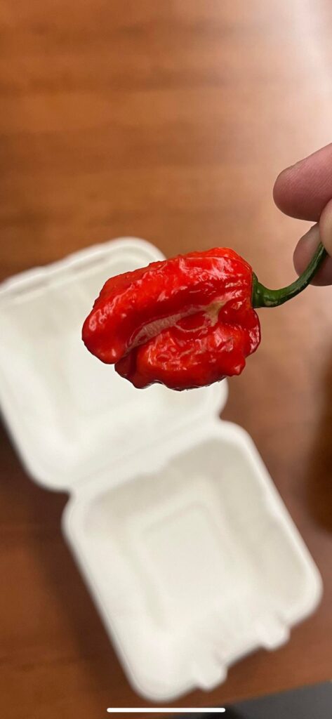 What pepper is this?
